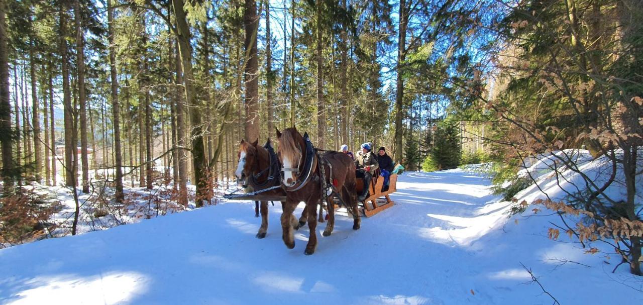 Pension Vinkl Harrachov Buitenkant foto