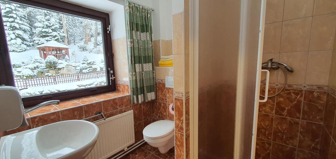 Pension Vinkl Harrachov Buitenkant foto