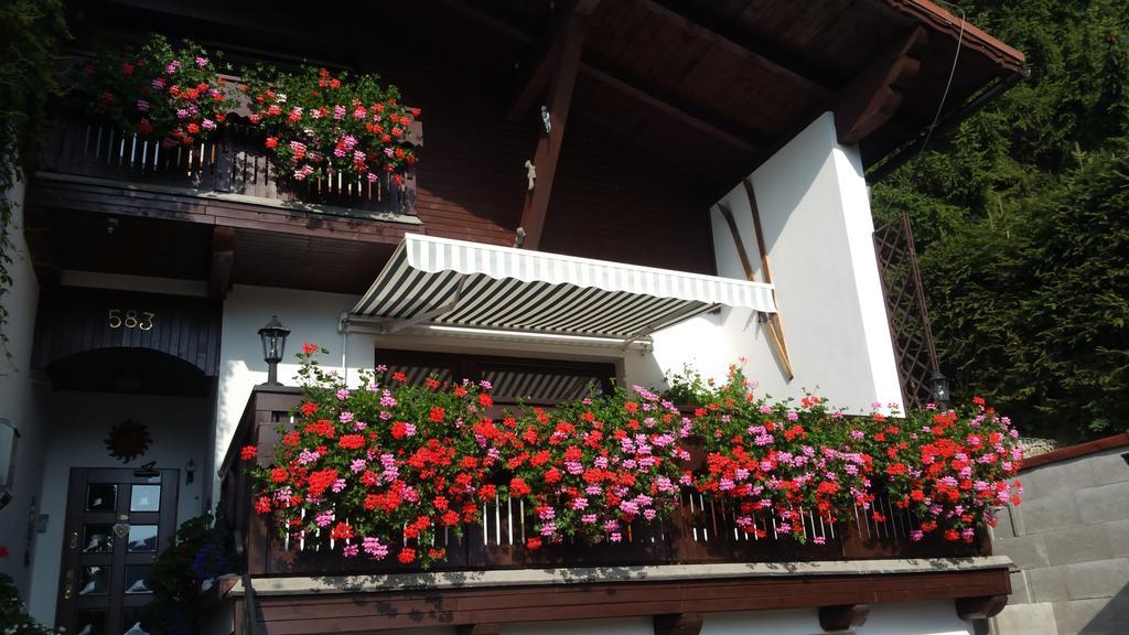 Pension Vinkl Harrachov Buitenkant foto